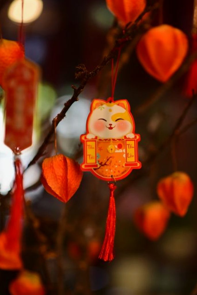  Thế giới giải trí Việt 